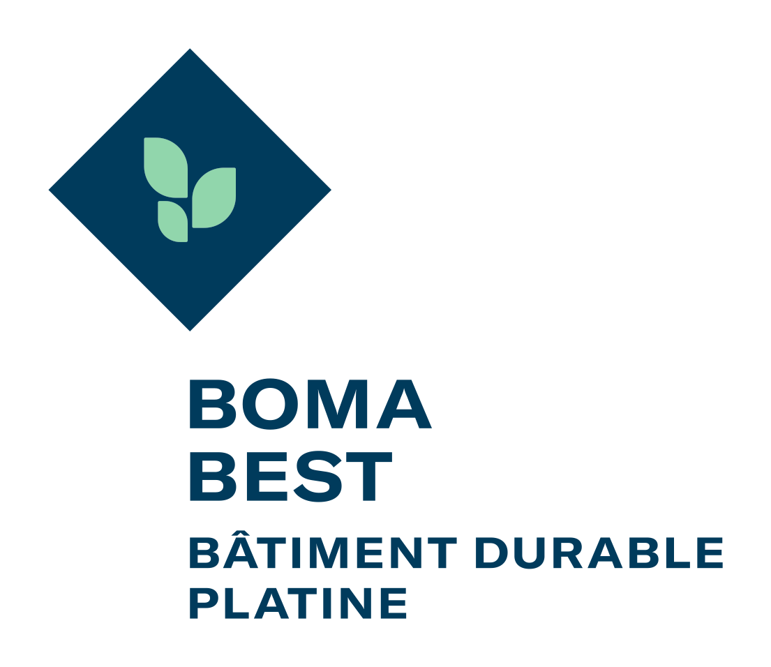 Boma Best Platinum Logo 