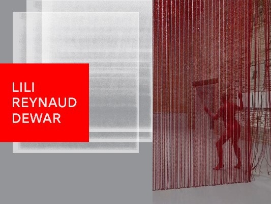 Exposition Lili Reynaud-Dewar au MAC