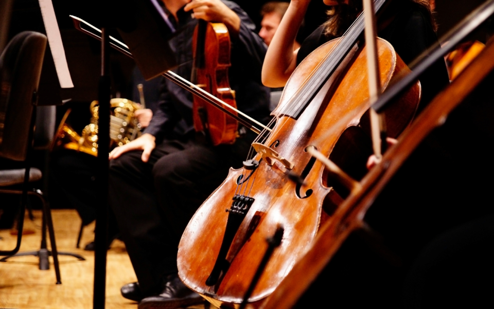 Violons