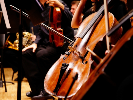 Violons