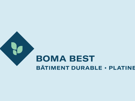 boma best